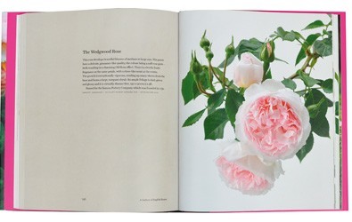 Libro  "The Inglish Roses