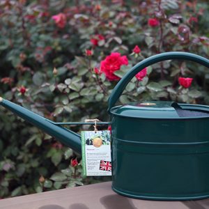 Annaffiatoio 5 lt David Austin