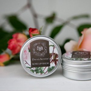 Balsamo Labbra alle Rose 15ml