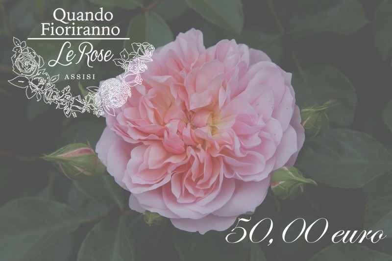 Buono regalo 50,00 euro
