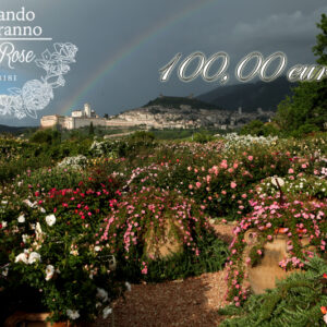 Buono regalo 100,00 euro