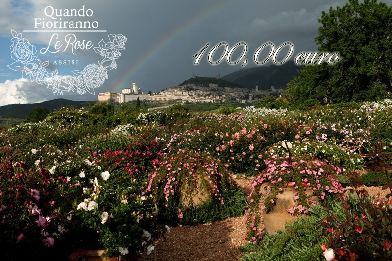 Buono regalo 100,00 euro