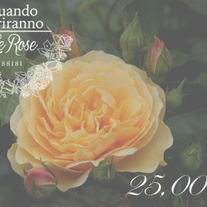 Buono regalo 25,00euro