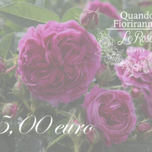 Buono Regalo 75,00 euro