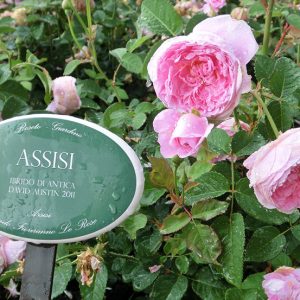 Targhetta in ceramica con asta in ferro