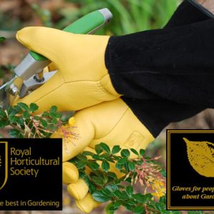 Guanti Gold Leaf Trough  Touch - Donna -