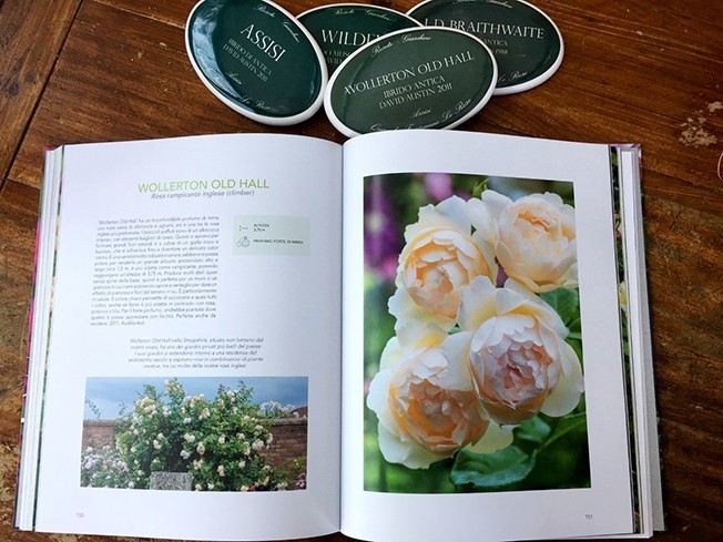Libro "Rose Inglesi" - lingua Italiana sc. 5.00€ con acquisto di rose