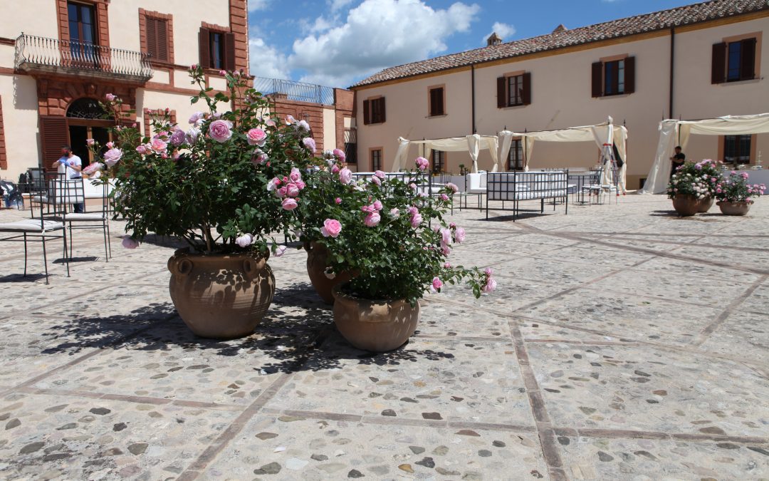 VISITE GUIDATE ONLINE