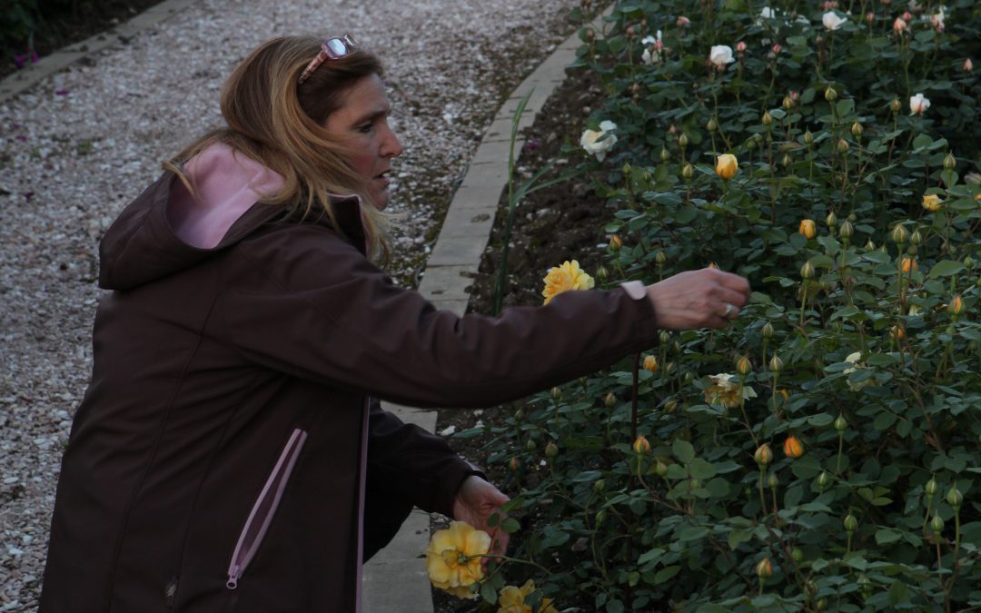 Messa a disposizione del Roseto per Servizi Fotografici