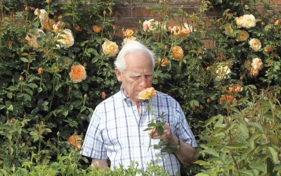 David Austin: a lifetime of dedication (1926-2018)