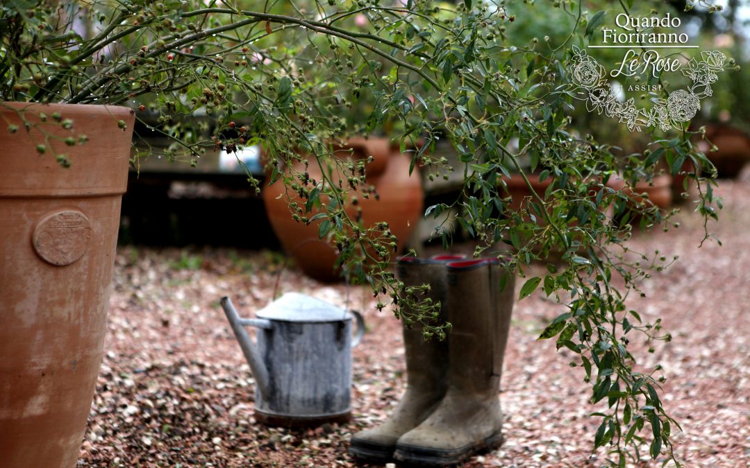 PRENOTA APPUNTAMENTO