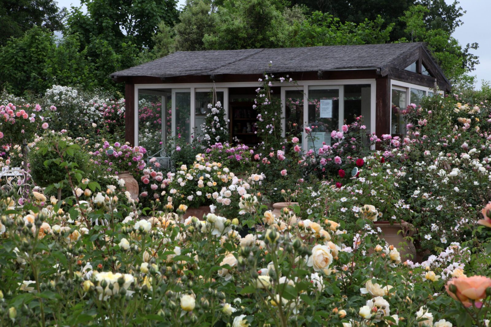 Giardini da visitare in Umbria