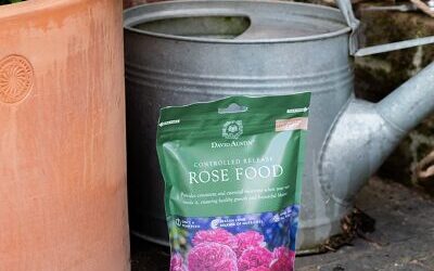 ROSE FOOD E CONCIMAZIONE